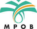 import company in Malaysia